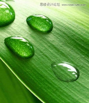 ps绘制在绿叶上晶莹剔透的露珠