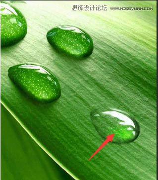 ps绘制在绿叶上晶莹剔透的露珠