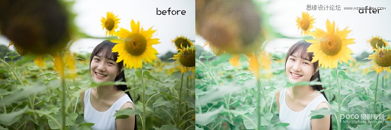 PS为向日葵中女孩调出日系暖色效果