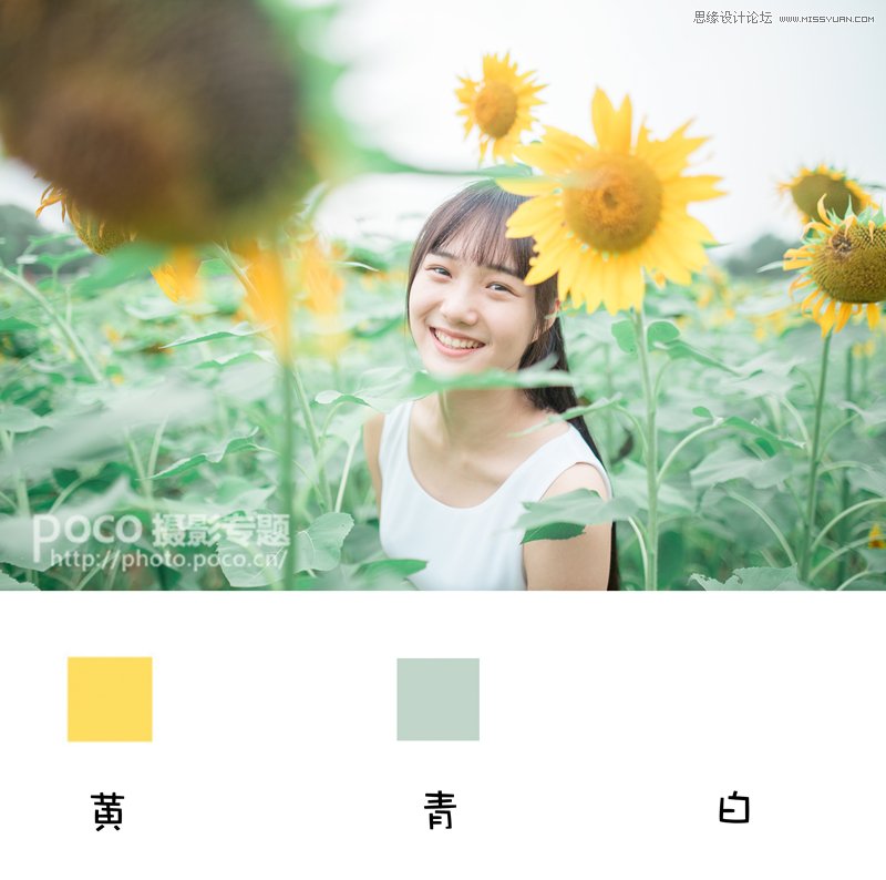 PS为向日葵中女孩调出日系暖色效果