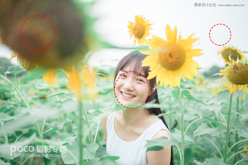 PS为向日葵中女孩调出日系暖色效果