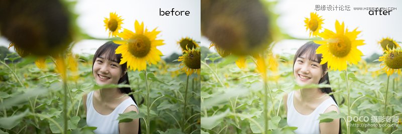 PS为向日葵中女孩调出日系暖色效果