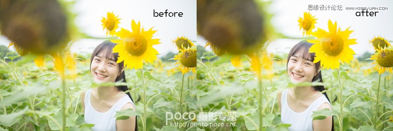 PS为向日葵中女孩调出日系暖色效果