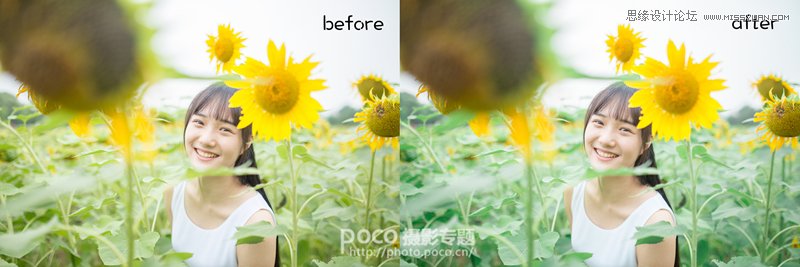 PS为向日葵中女孩调出日系暖色效果