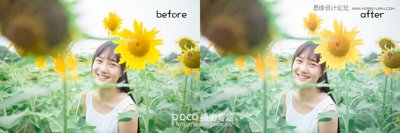 PS为向日葵中女孩调出日系暖色效果