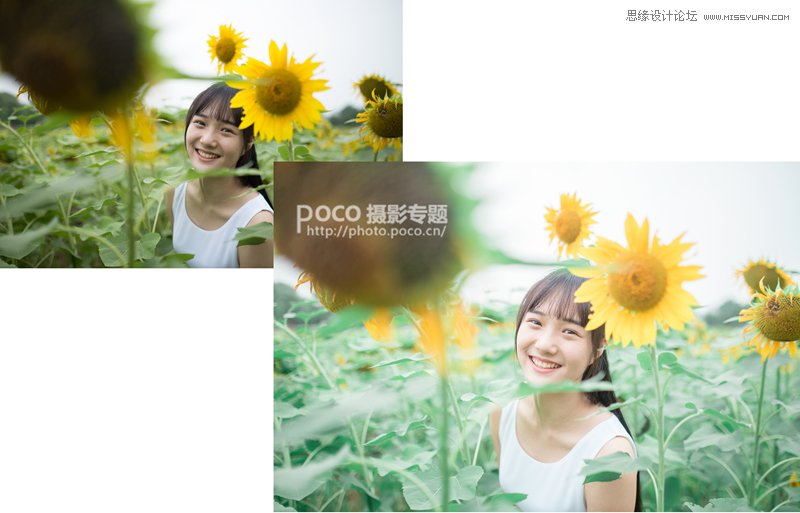 PS为向日葵中女孩调出日系暖色效果