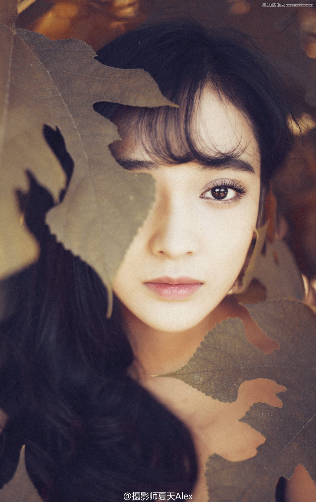 PS调出树下美女人像秋季怀旧效果