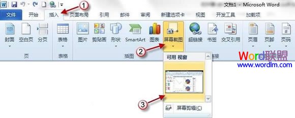 word屏幕截图 Word2010屏幕截图插入功能如何使用? word屏幕截图 Word2010屏幕截图插入功能如何使用?