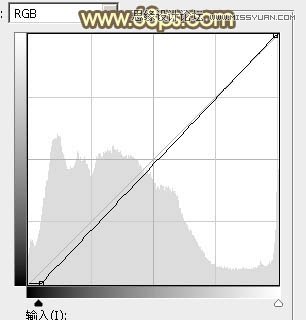 PS调出草地美女秋季金黄色调