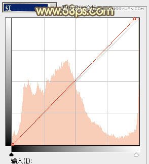 PS调出草地美女秋季金黄色调