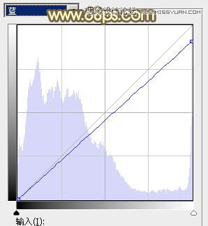 PS调出草地美女秋季金黄色调