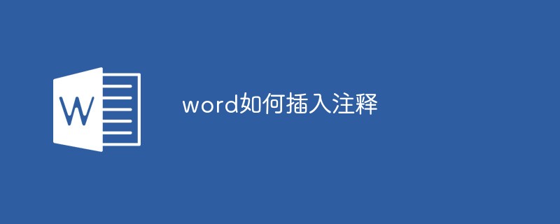 word如何插入注释