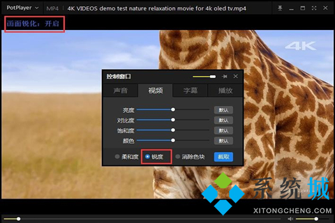 电脑播放器哪个最好用 电脑播放器排行榜前十名介绍