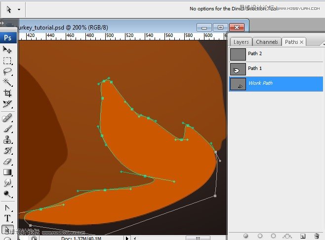 PS绘制香喷喷的逼真烤鸡教程