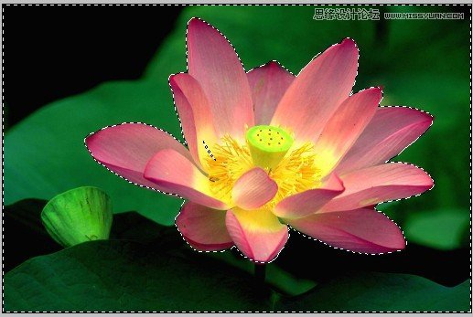 PS深度解析蒙版的应用和技巧