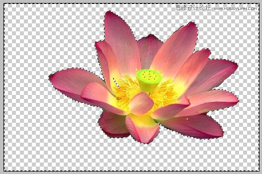 PS深度解析蒙版的应用和技巧