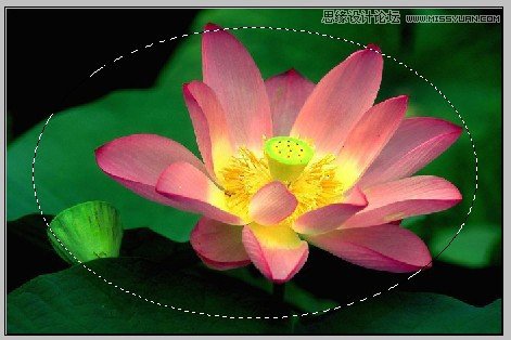 PS深度解析蒙版的应用和技巧