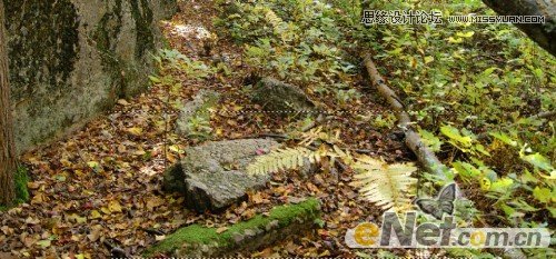 PS制作颓废木纹效果的字体教程