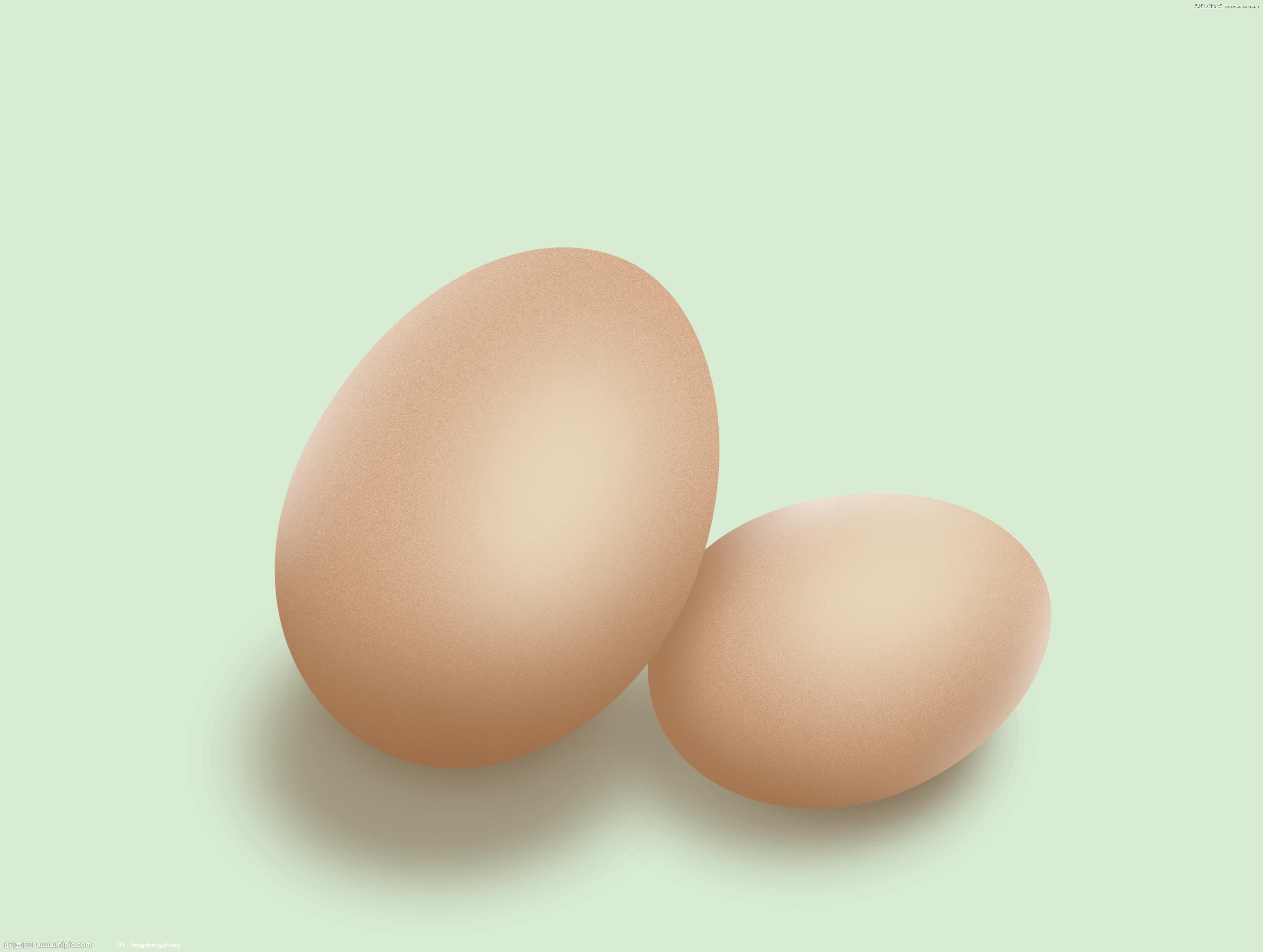 PS绘制逼真的鸡蛋教程