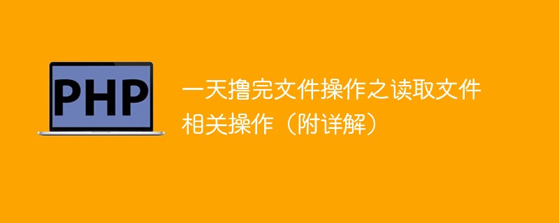 ​一天撸完文件操作之读取文件相关操作（附详解）