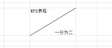 wpsexcel表格斜线一分为二怎么弄 wpsexcel表格斜线一分为二怎么打字