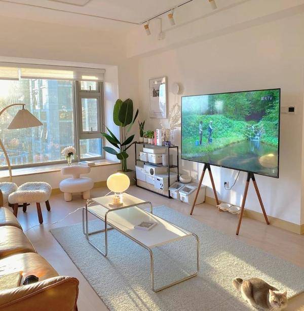 未来客厅装修趋势有哪些,客厅适合装投影吗