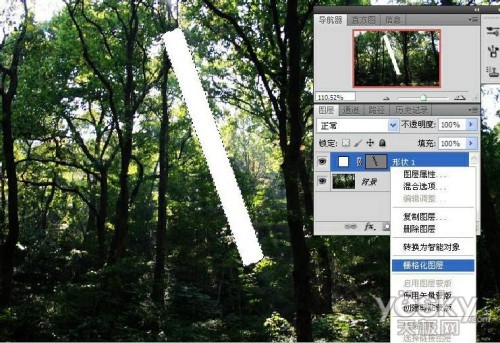 PS制作树林中的透射光线