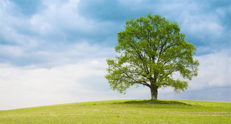 ps扣背景图最佳的3种方法