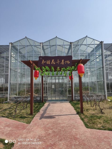 空气源热泵采暖专家告诉您，新兴清洁能源如何助力花卉大棚养殖发展