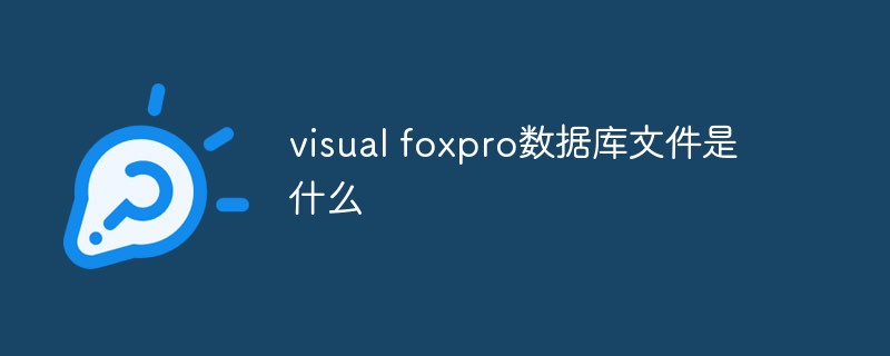 visual foxpro数据库文件是什么