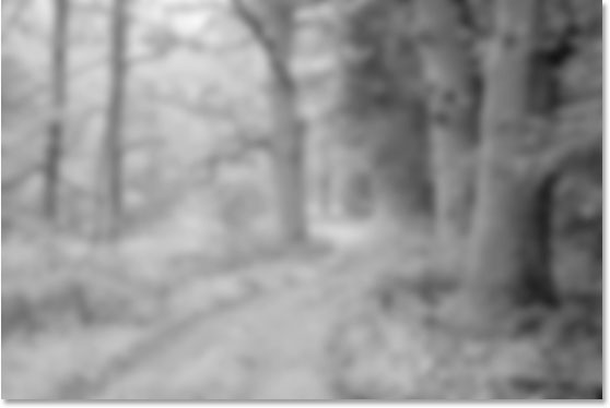 使用 Ps 的红外照片效果