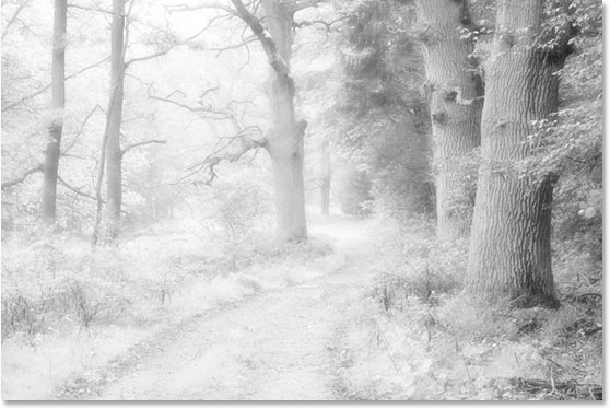 使用 Ps 的红外照片效果