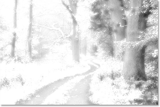 使用 Ps 的红外照片效果