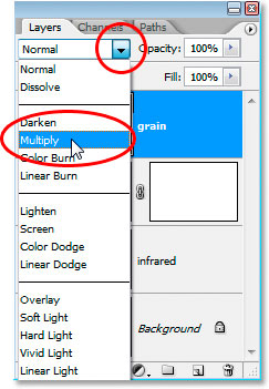 使用 Ps 的红外照片效果