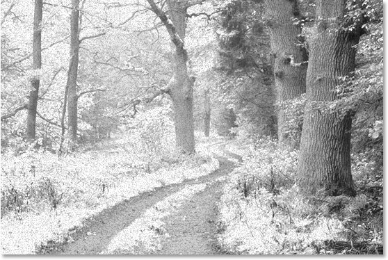 使用 Ps 的红外照片效果