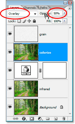 使用 Ps 的红外照片效果
