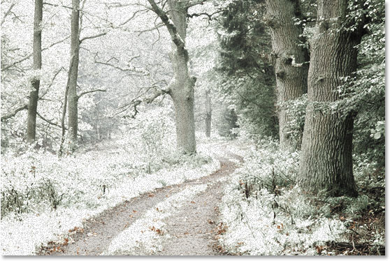 使用 Ps 的红外照片效果