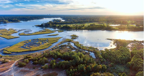 无人机如何修复“地球之肾”?高效播撒可节省50倍人力