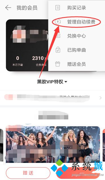 网易云怎么取消自动续费黑胶vip 网易云取消黑胶vip方法介绍