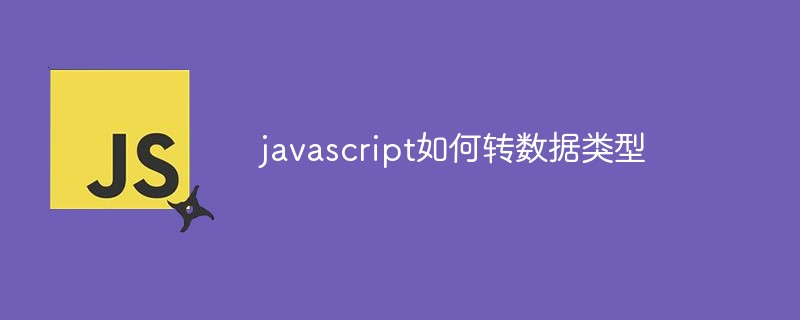 javascript如何转数据类型