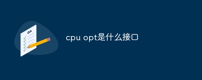 cpu opt是什么接口