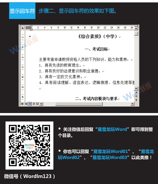 隐藏与显示Word文档中的回车符 隐藏与显示Word2003文档中的回车符 隐藏与显示Word文档中的回车符 隐藏与显示Word2003文档中的回车符