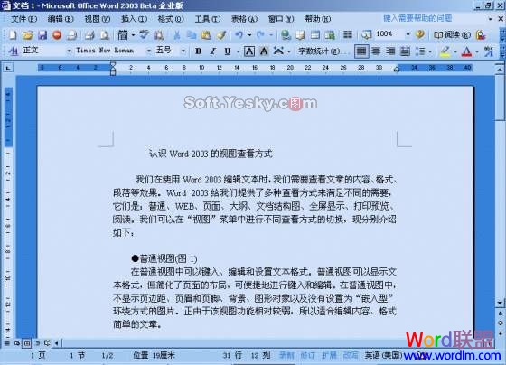 word页面视图,大纲视图 Word2003中页面视图、大纲视图详细说明