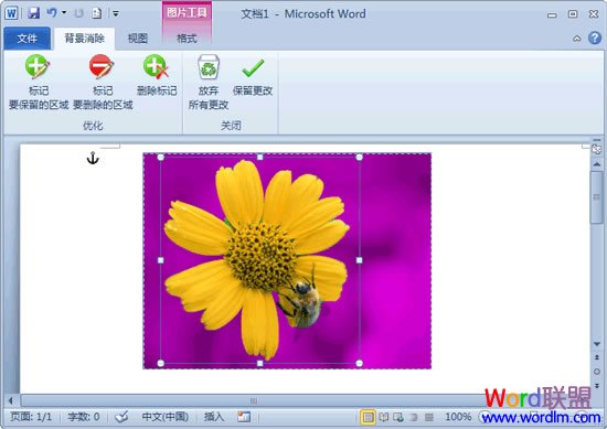 如何删除word背景 删除图片背景 用Word2010就可以轻松搞定 如何删除word背景 删除图片背景 用Word2010就可以轻松搞定