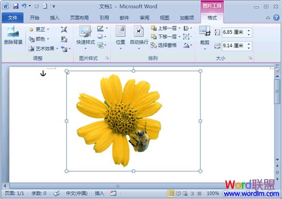 如何删除word背景 删除图片背景 用Word2010就可以轻松搞定 如何删除word背景 删除图片背景 用Word2010就可以轻松搞定