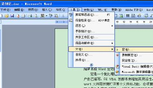 Word宏 Word宏功能介绍和使用 Word宏 Word宏功能介绍和使用