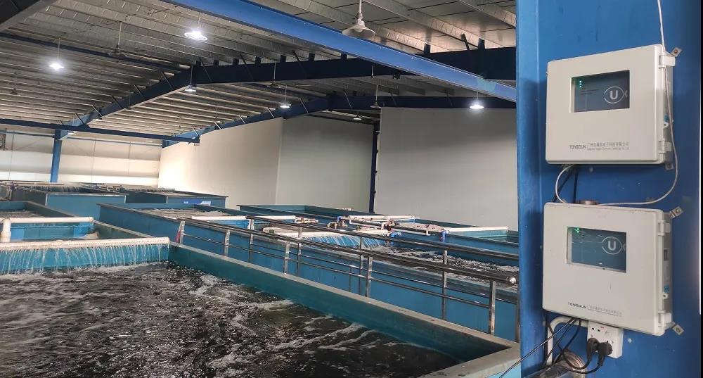 科技养鱼,造富一方!移动云科技赋能渔业养殖!