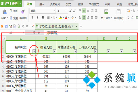 wps筛选怎么操作步骤 wps筛选功能的使用方法介绍