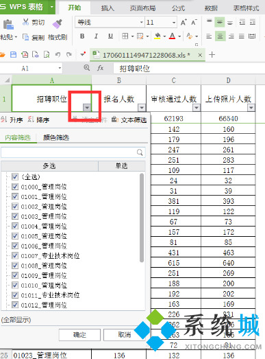 wps筛选怎么操作步骤 wps筛选功能的使用方法介绍