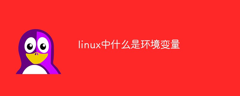 linux中什么是环境变量